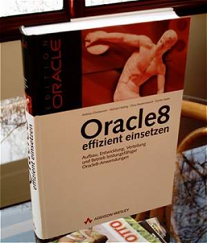 Oracle8 effizient einsetzen - Addison Wesley Verlag